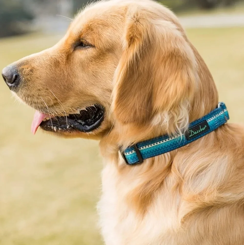 New Turquoise Martingale Dog Training Collar No Pull Heavy Duty Geometric Design